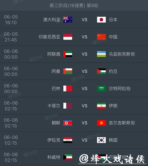 2026年国际足联世界杯赛事盛况解析